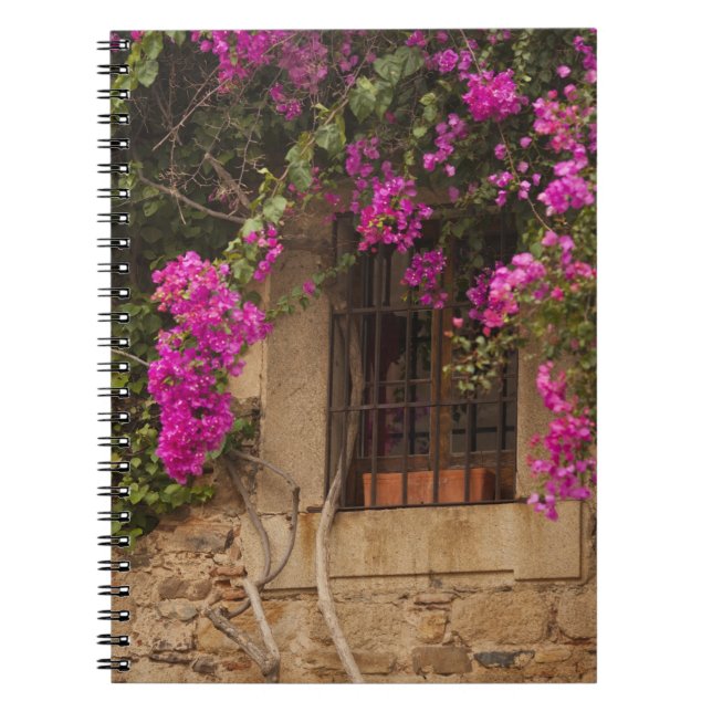 Carnet Cité Monumentale, bâtiments couverts de fleurs (Devant)
