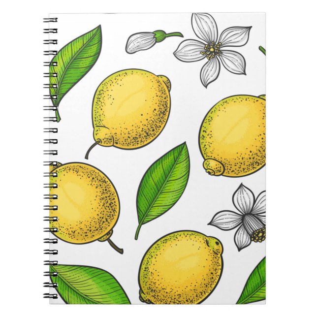 Carnet Citrons (Devant)