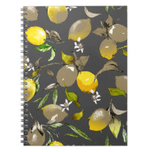 Citrons aquarelle 35