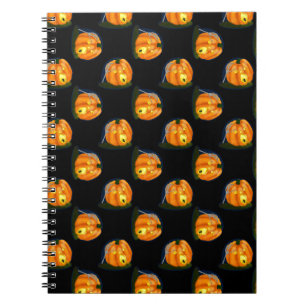 Carnet Citrouille idiot effrayé