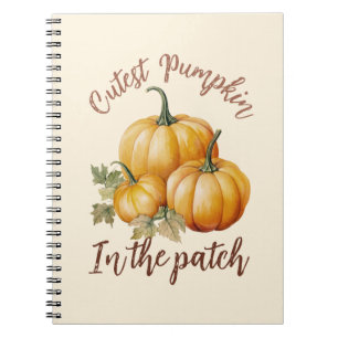 Carnet Citrouille le plus précis dans le patch