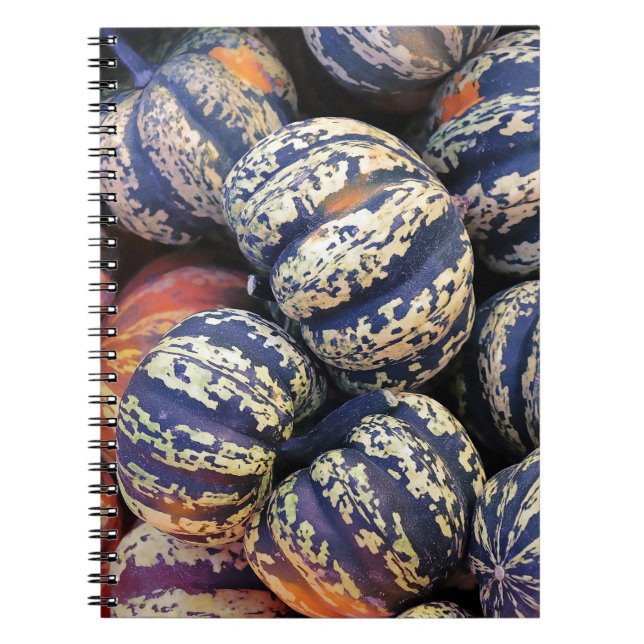 Carnet Citrouilles rayées rustiques  (Devant)