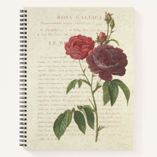 Carnet Classique Vintage Rosa Gallica