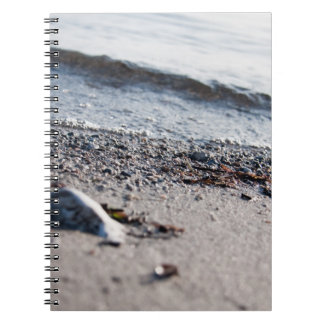 Carnet Close up