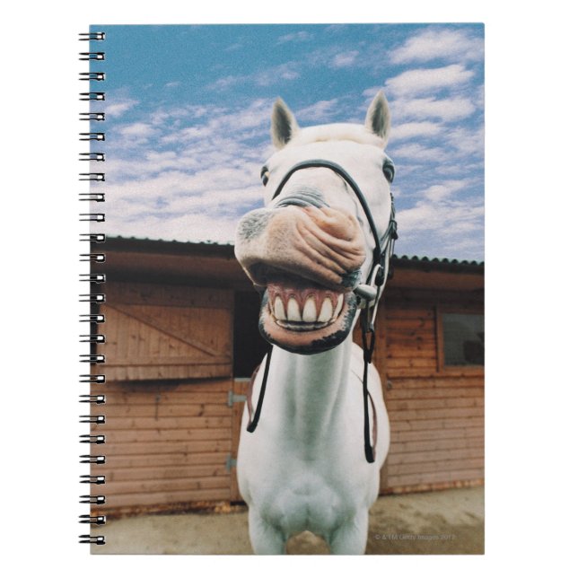 Carnet Close-up of Horse with Mouth Open (Devant)