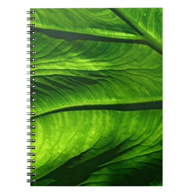 Carnet Closeup photo de la feuille verte (Devant)