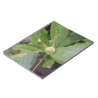 Carnet Closeuse d'amandiers