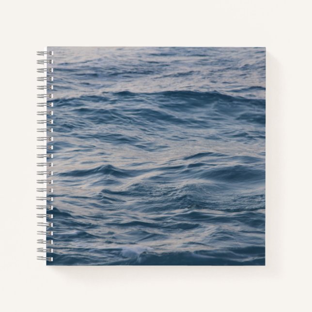Carnet Closeuse d'eau de mer (Devant)