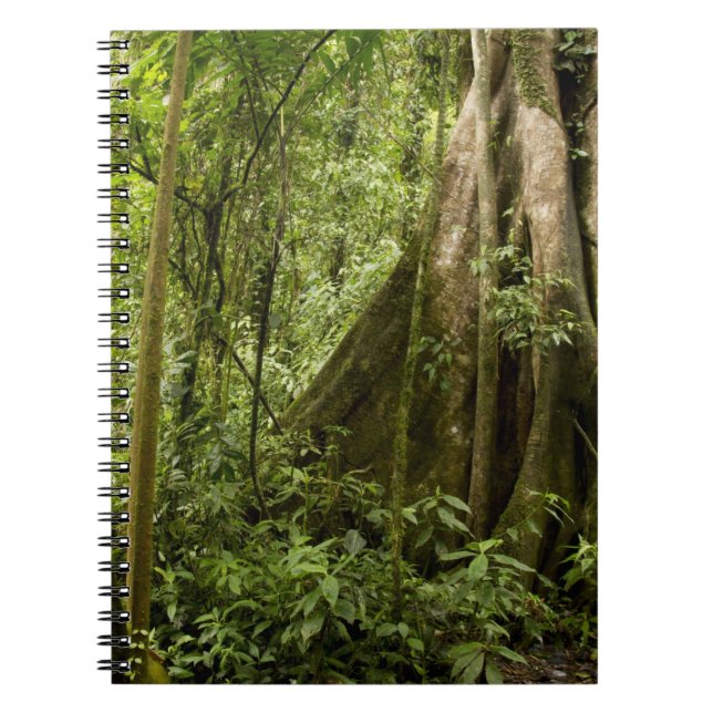Carnet Cloud forest, Peace Rain Forest, Costa Rica (Devant)