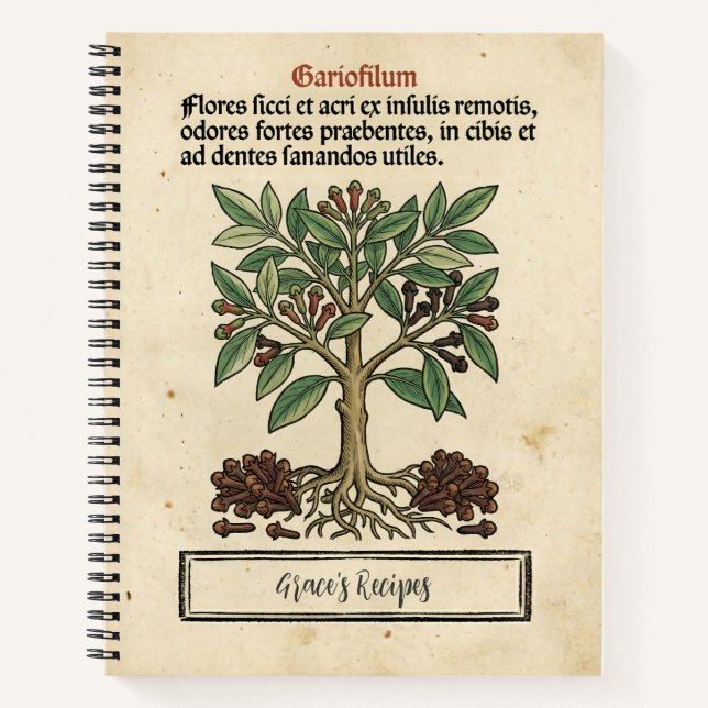 Carnet Clous de girofle de Moluque Recette botanique médi (Devant)