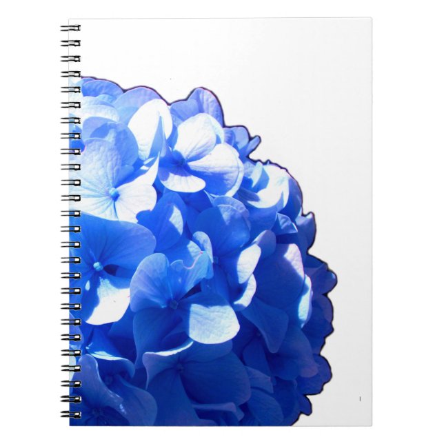 Carnet Cobalt bleu floral élégant bleu hydrangées (Devant)