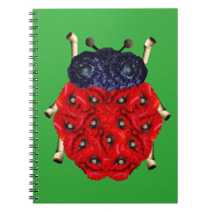 Carnet Coccinelle
