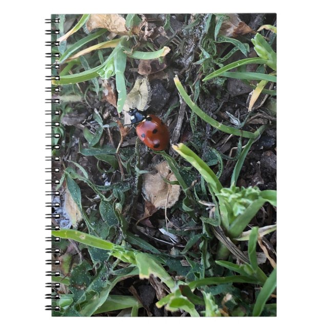 Carnet Coccinelle (Devant)