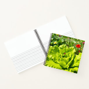 Carnet Coccinelle Chanceuse