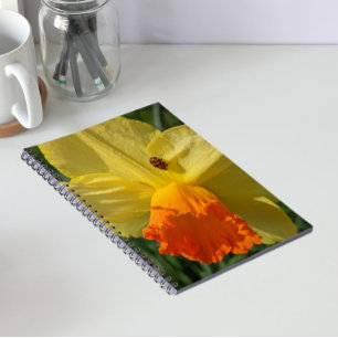 Carnet Coccinelle sur fleur de narcisse jaune floral
