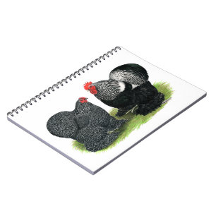 Carnet Cochins : crayonnés d'argent