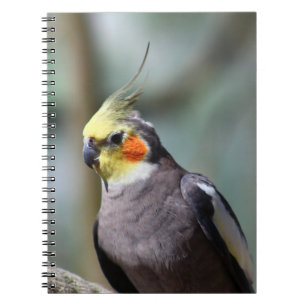 Carnet Cockatiel