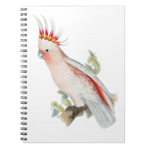 Carnet Cockatoo Art Vintage