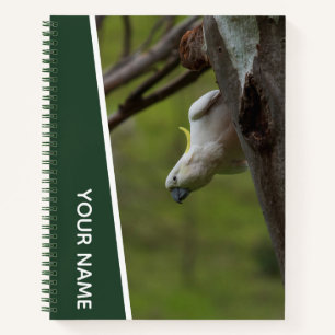 Carnet Cockatoo Australie Perroquet à l'envers, Vert drôl