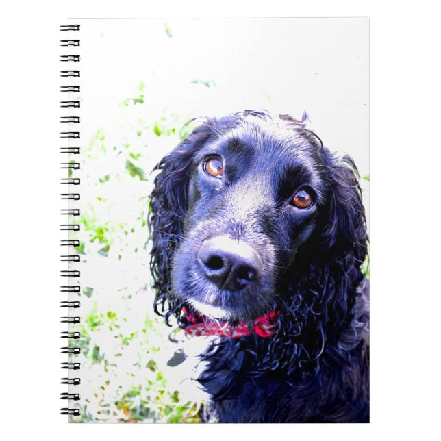 Carnet Cocker Spaniel (Devant)