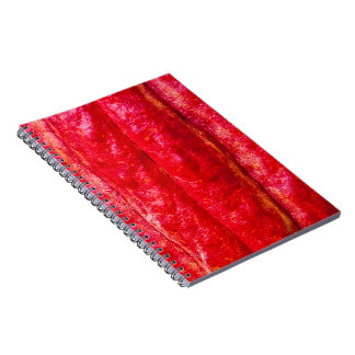 Carnet cocod