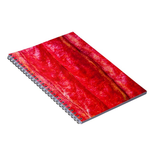 Carnet cocod (Côté Droit)