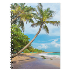 Carnet Cocotier, plage   Sri Lanka de Mirissa