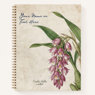 Carnet Coelia Bella Orchidée Botanique Vintage Personnali