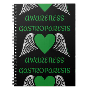 Carnet Coeur/ailes...Carnet de Gastroparèse