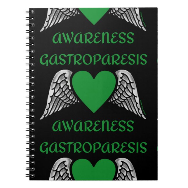 Carnet Coeur/ailes...Carnet de Gastroparèse (Devant)