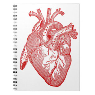 Carnet Coeur Anatomique Rouge