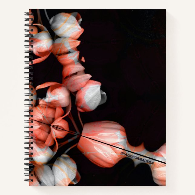 Carnet "Coeur blanc en noir du soleil" (Devant)