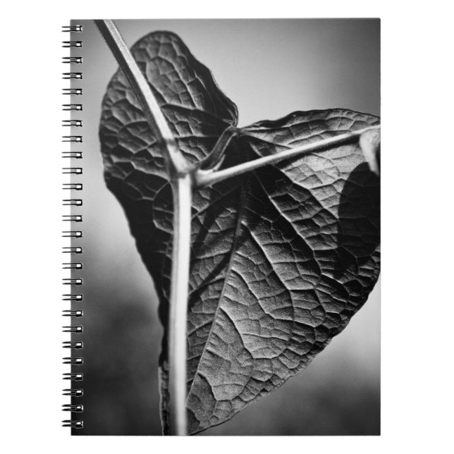 Carnet coeur crucifié (Devant)