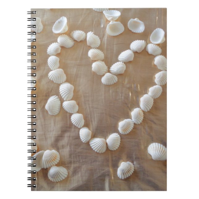 Carnet Coeur des coquillages de la mer blanche, Summer Be (Devant)