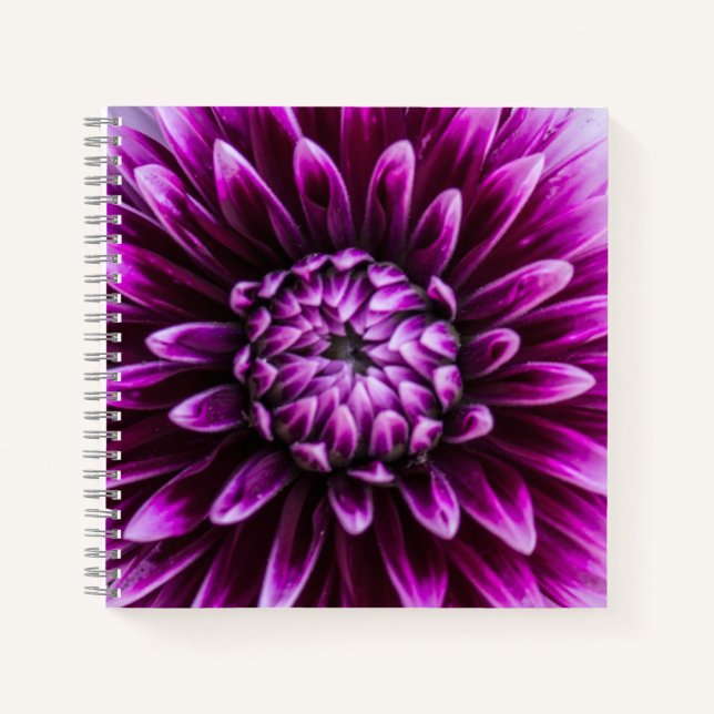 Carnet Coeur pourpre Dahlia (Devant)
