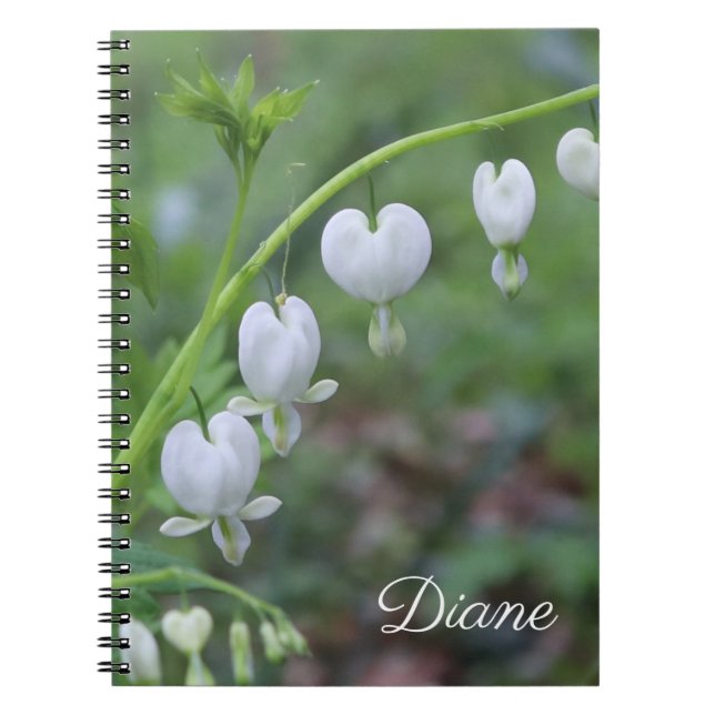Carnet Coeurs saignants blancs Floral (Devant)
