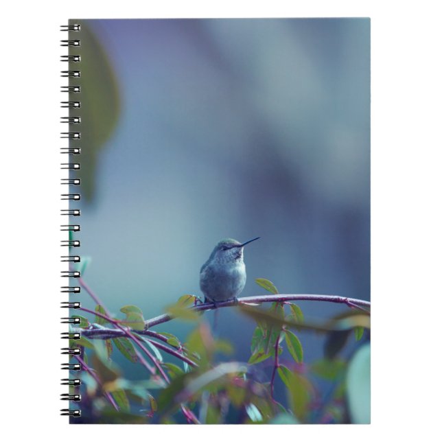 Carnet Colibri 5738 (Devant)