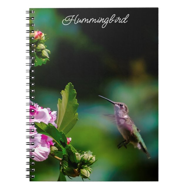 Carnet Colibri à gorge rubis - Photo originale (Devant)