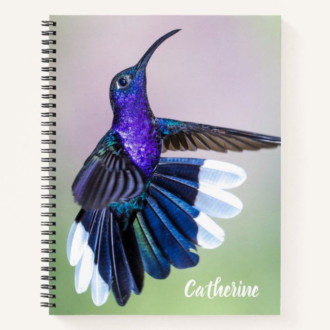 Carnet Colibri violet avec de belles plumes sur mesure (Devant)