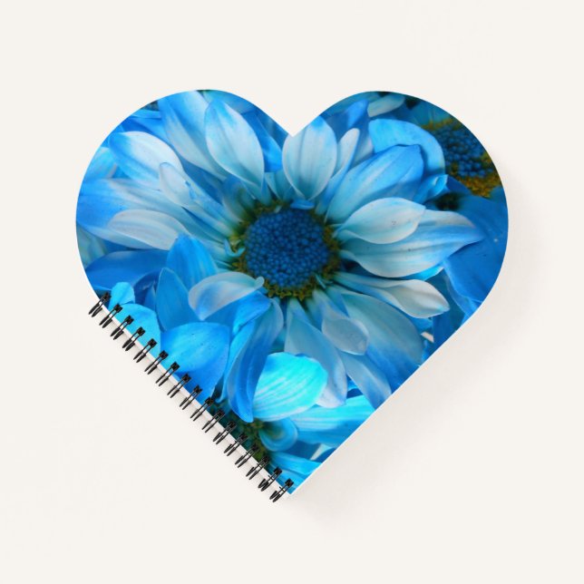 Carnet Collaert (Devant)