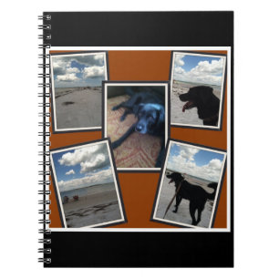 Carnet collage adorable des photos de la plage et du