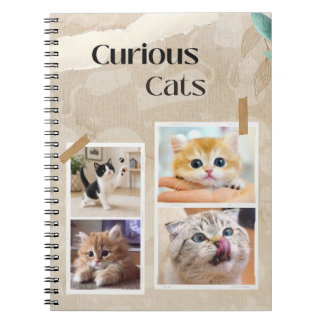 Carnet Collage de chats curieux