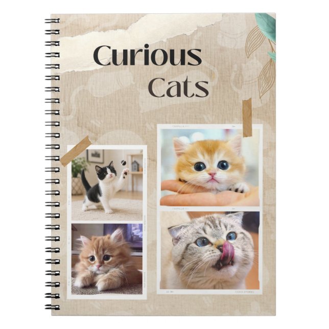 Carnet Collage de chats curieux (Devant)