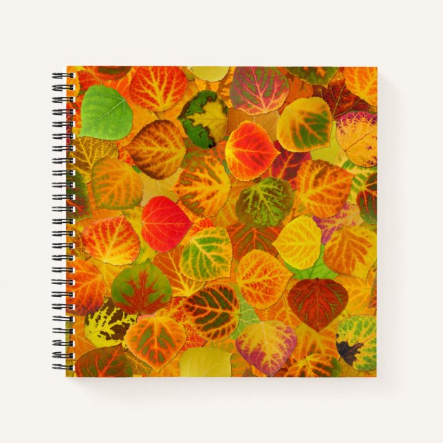 Carnet Collage Feuille en peuplier massif transparent 1 (Devant)