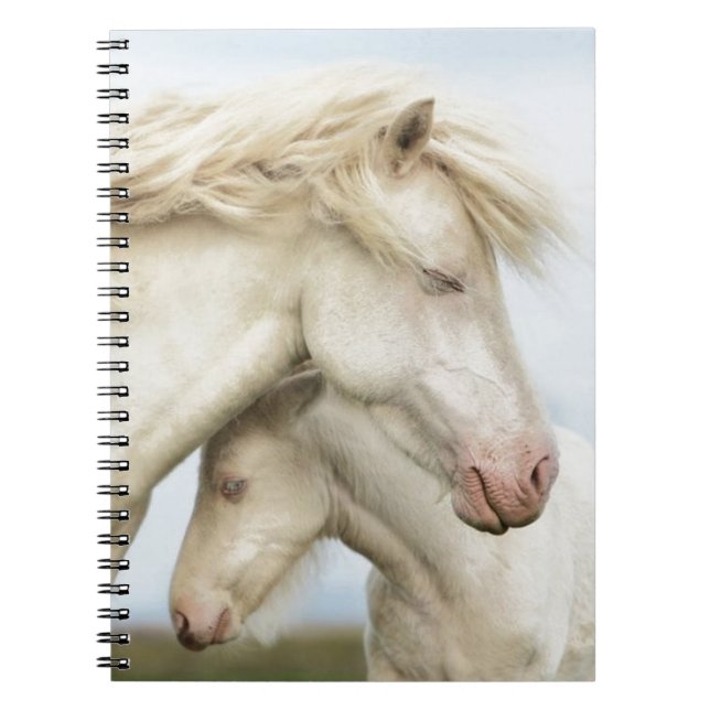 Carnet Collection de cheval (Devant)