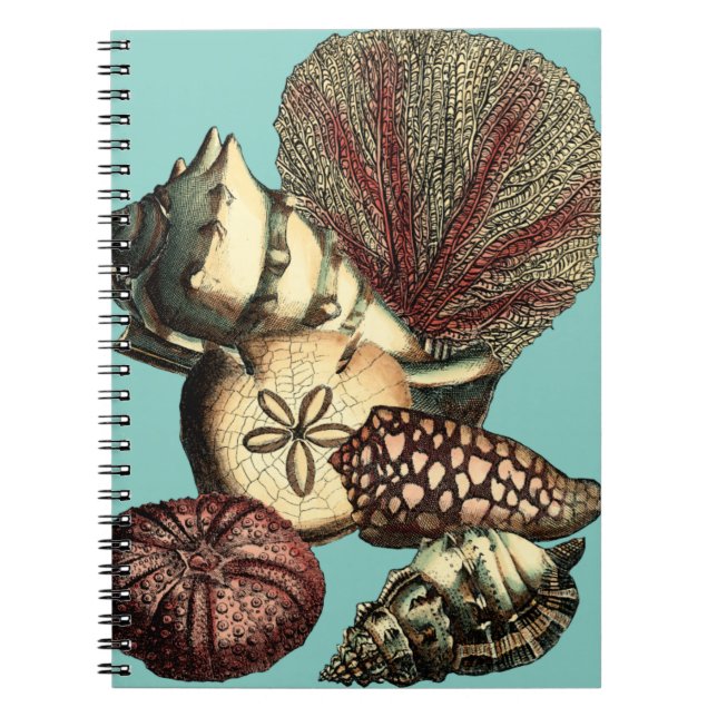 Carnet Collection de coquillages turquoise et de coraux r (Devant)