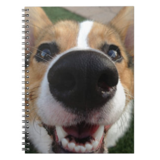 Carnet Collection de nez de chien de corgi de Gallois