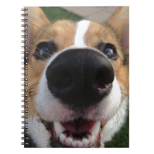 Carnet Collection de nez de chien de corgi de Gallois (Devant)