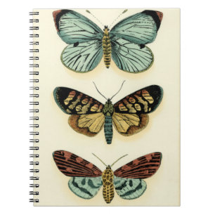 Carnet Collection de papillon par Chariklia Zarris