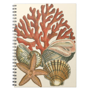 Carnet Collection de vies marines
